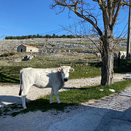 Al Dolmen Couette-café