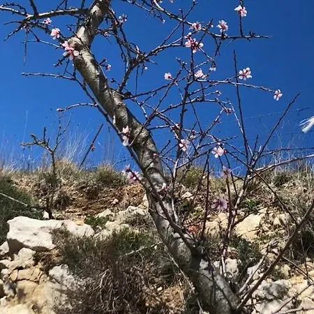 Al Dolmen Couette-café Monte SantʼAngelo