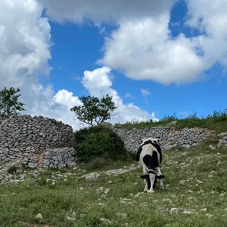 Al Dolmen 住宿加早餐酒店 圣安吉罗山