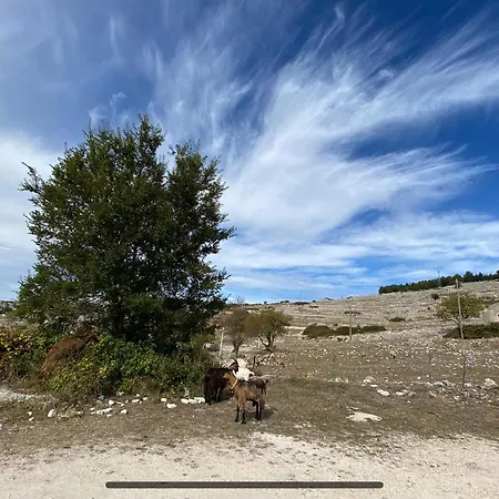 فندق مبيت وإفطار Al Dolmen Monte SantʼAngelo