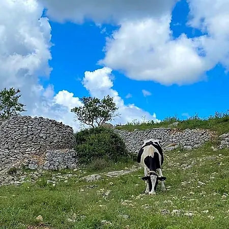 Al Dolmen 圣安吉罗山
