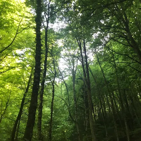 Al Dolmen 3* 圣安吉罗山