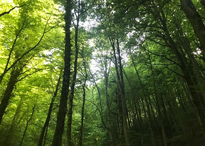 Al Dolmen 3* Monte SantʼAngelo